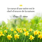 Fleurs jaunes pour c&eacute;l&eacute;brer ma maman